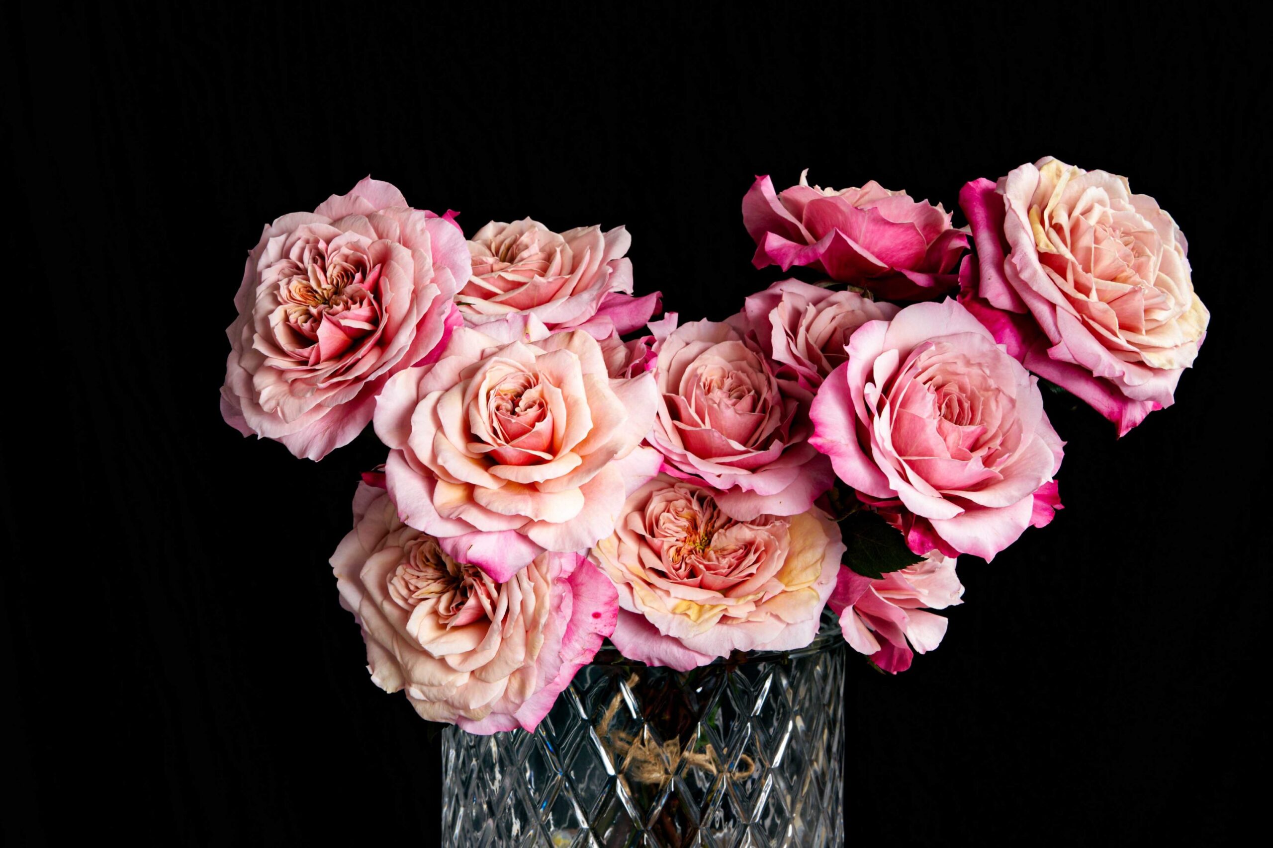 miyabi miyabi,pink roses,luxury