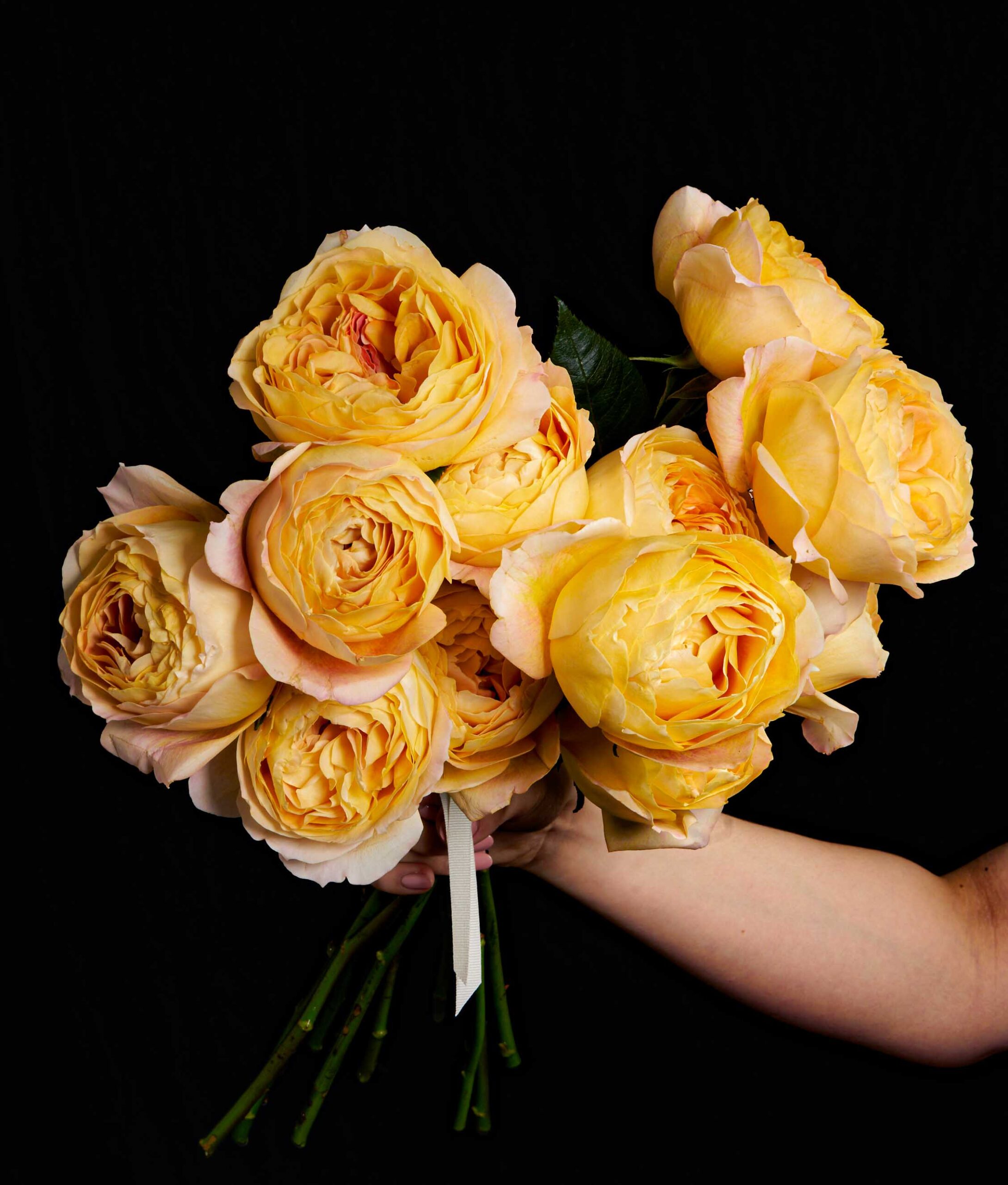 A yellow roses arrangement in a hand