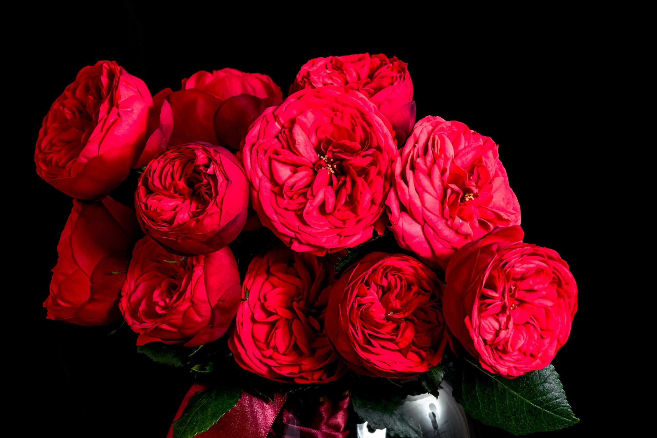 red piano red piano,living luxury,alaia roses