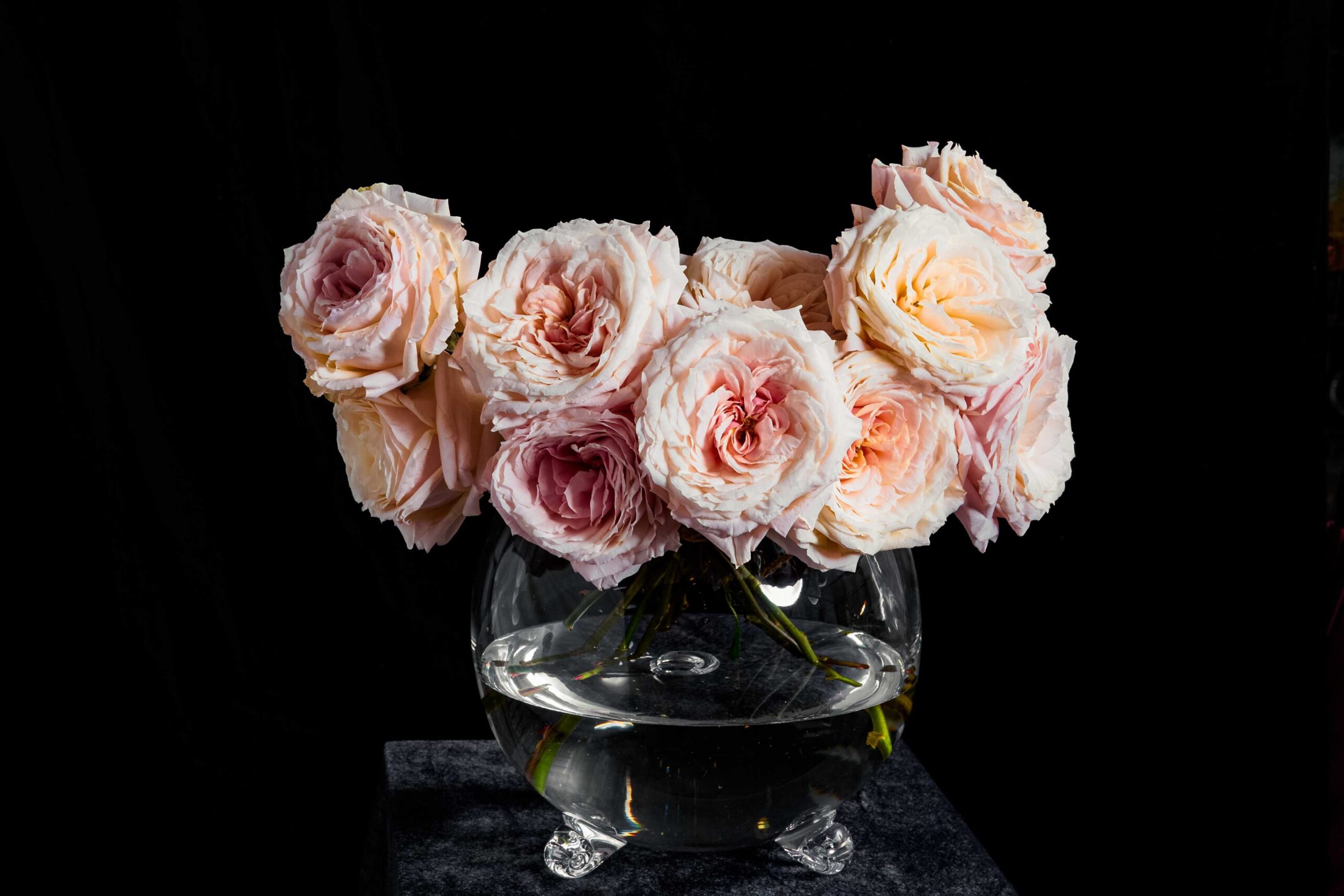 tsumugi tsumugi,elegant roses bouquet