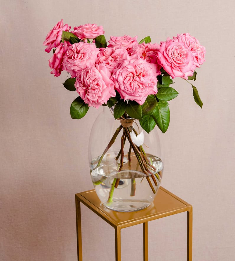 A bouquet of pink dahlias over a table