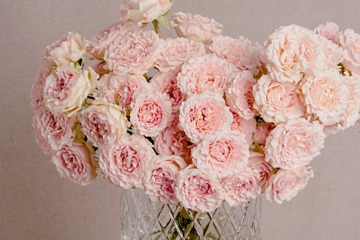 Big bouquet of light pink roses in a glass vase