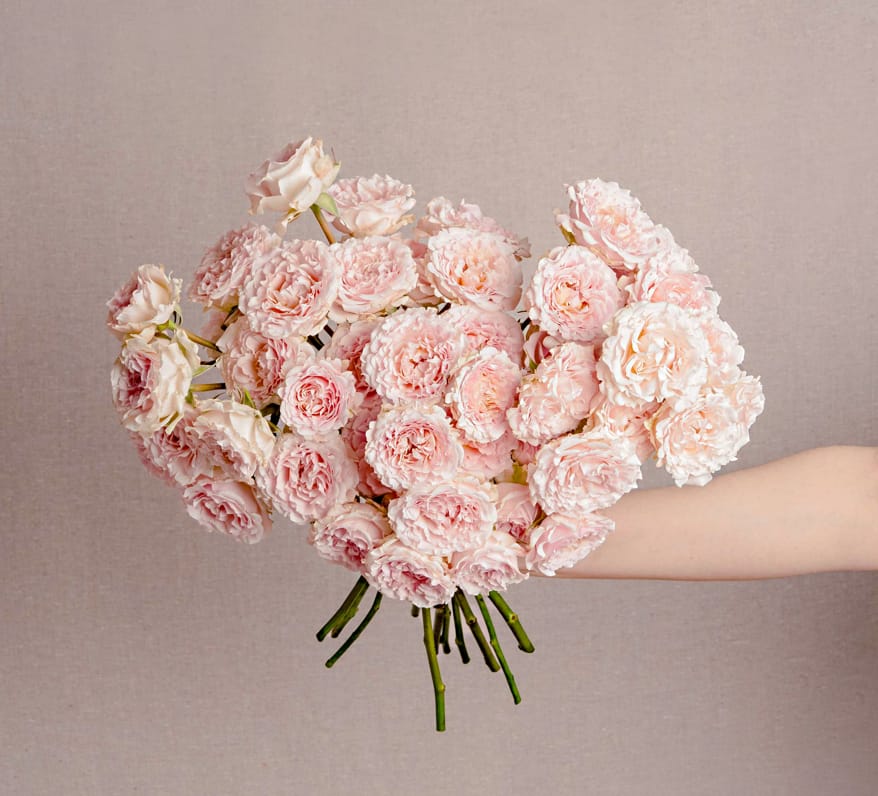 Big bouquet of light pink roses