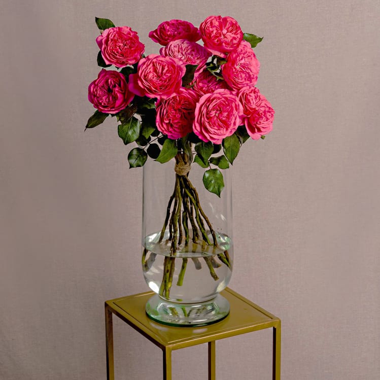 A dark pink roses arrangement over a table