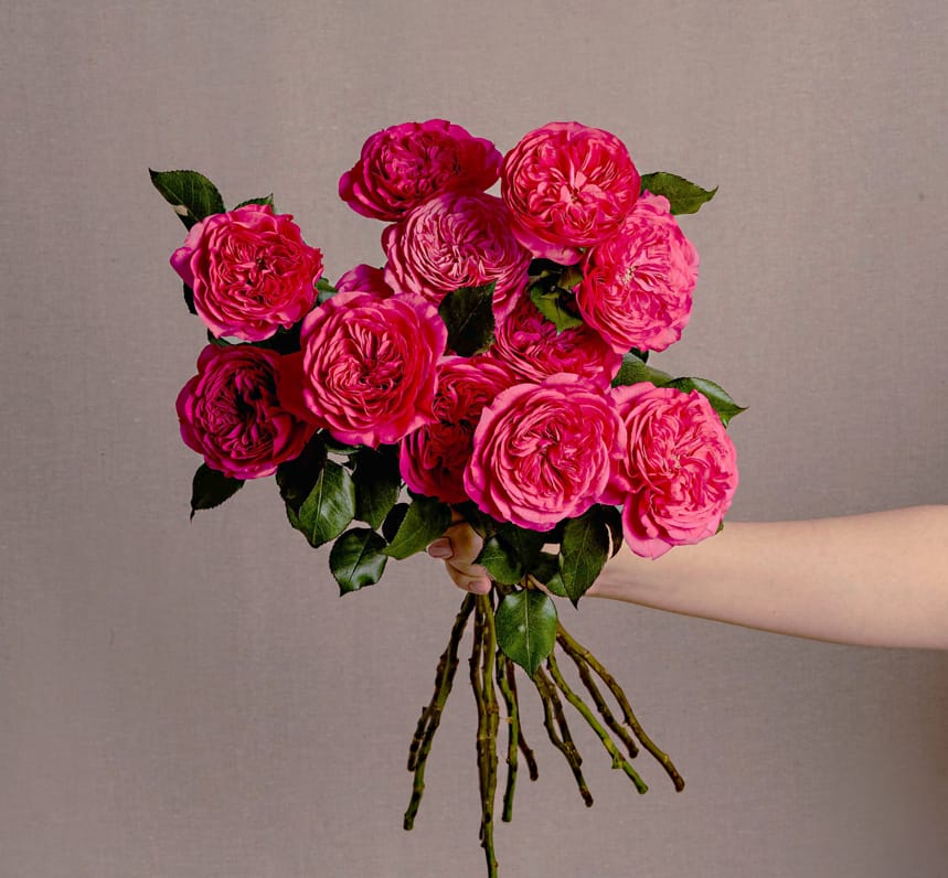 Dark pink rose bouquet