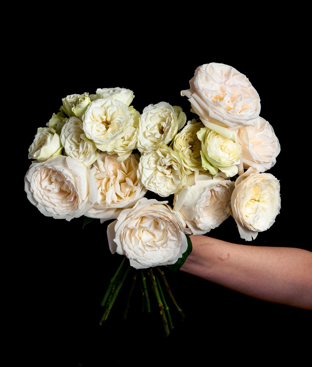 White roses bouquet in a hand